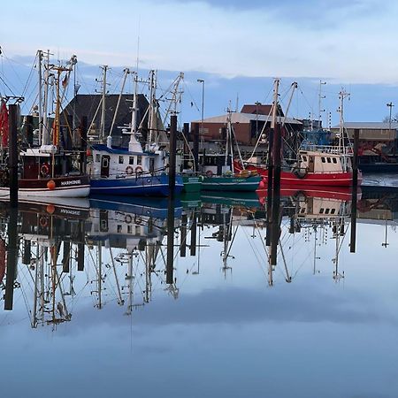 Ferienwohnung Hein Am Nordseedeich 부차딩엔 외부 사진