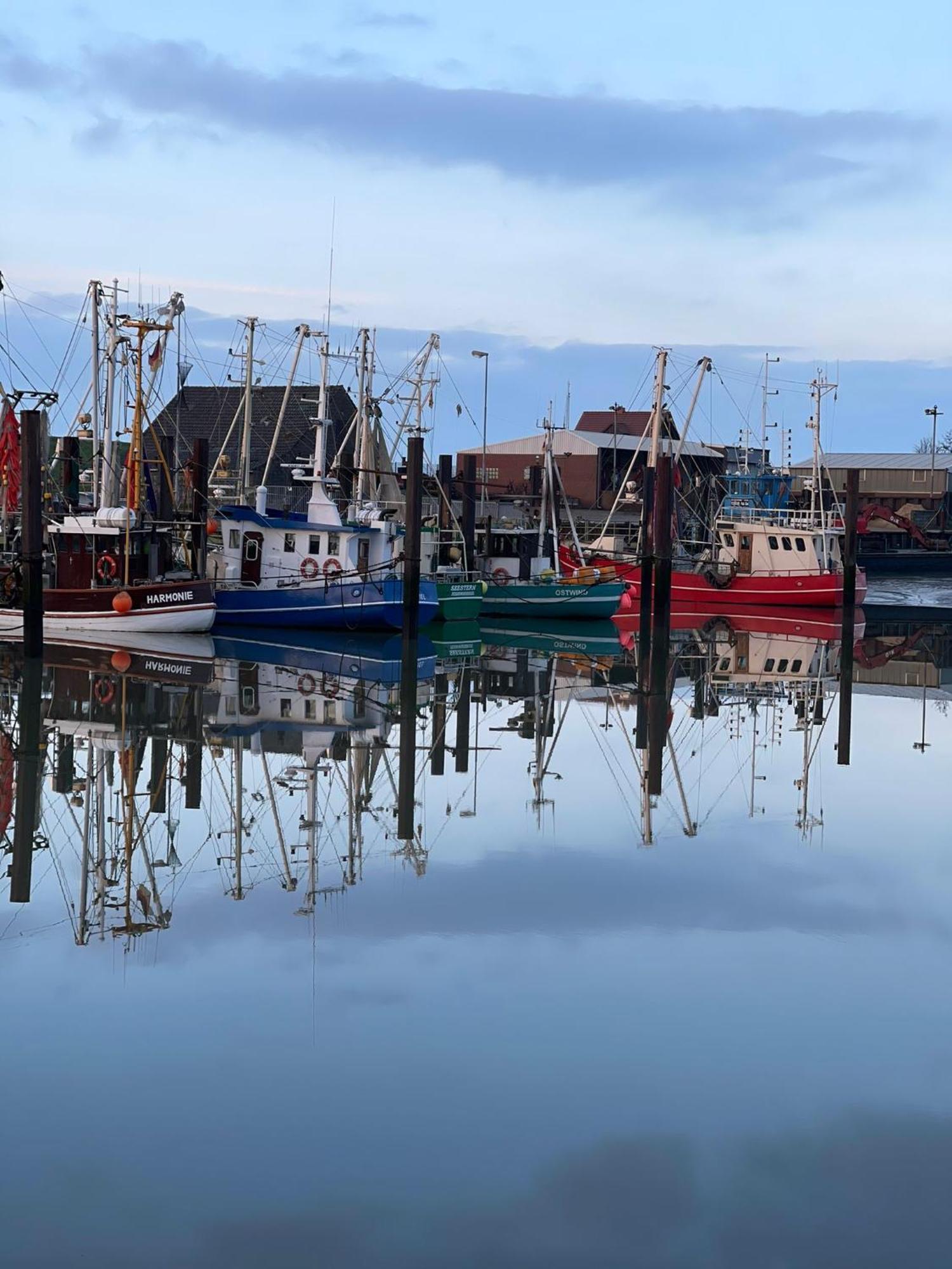 Ferienwohnung Hein Am Nordseedeich 부차딩엔 외부 사진