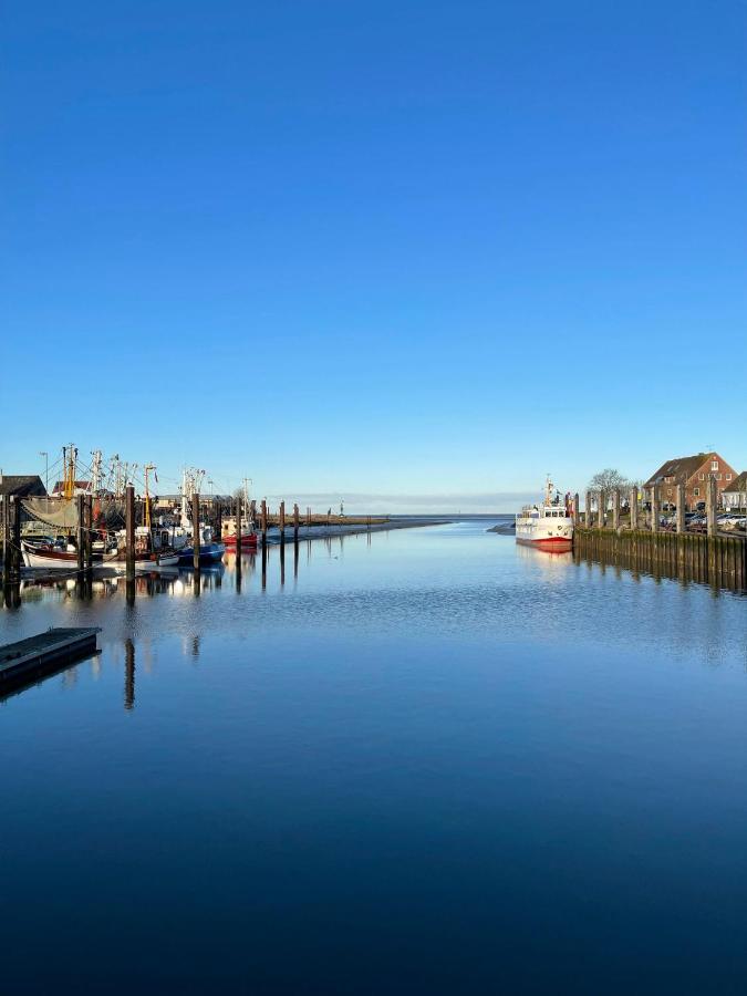 Ferienwohnung Hein Am Nordseedeich 부차딩엔 외부 사진