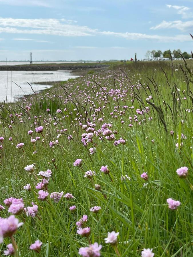 Ferienwohnung Hein Am Nordseedeich 부차딩엔 외부 사진